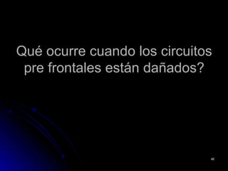Qué ocurre cuando los circuitosQué ocurre cuando los circuitos
pre frontales están dañados?pre frontales están dañados?
4646
 