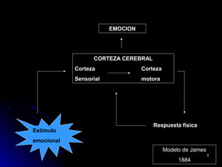 EMOCION
CORTEZA CEREBRAL
Corteza Corteza
Sensorial motora
Estímulo
emocional
Respuesta física
Modelo de James
1884
99
 