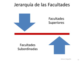 Emociones, Pasiones, Sentimientos