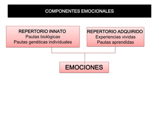 Emociones, Pasiones, Sentimientos