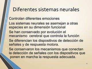 Diferentes sistemas neurales
15
λ Controlan diferentes emociones
λ Los sistemas neurales se asemejan a otras
especies en su dimensión funcional
λ Se han conservado por evolución el
mecanismo cerebral que controla la función
λ Se diferencian los dispositivos de detección de
señales y de respuesta motora.
λ Se conservaron los mecanismos que conectan
la detección de señales con los dispositivos que
ponen en marcha la respuesta adecuada.
 