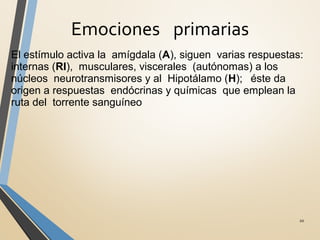 Emociones primarias
20
El estímulo activa la amígdala (A), siguen varias respuestas:
internas (RI), musculares, viscerales (autónomas) a los
núcleos neurotransmisores y al Hipotálamo (H); éste da
origen a respuestas endócrinas y químicas que emplean la
ruta del torrente sanguíneo
 