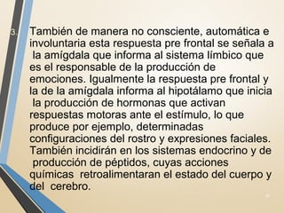 3. También de manera no consciente, automática e
involuntaria esta respuesta pre frontal se señala a
la amígdala que informa al sistema límbico que
es el responsable de la producción de
emociones. Igualmente la respuesta pre frontal y
la de la amígdala informa al hipotálamo que inicia
la producción de hormonas que activan
respuestas motoras ante el estímulo, lo que
produce por ejemplo, determinadas
configuraciones del rostro y expresiones faciales.
También incidirán en los sistemas endocrino y de
producción de péptidos, cuyas acciones
químicas retroalimentaran el estado del cuerpo y
del cerebro.
25
 