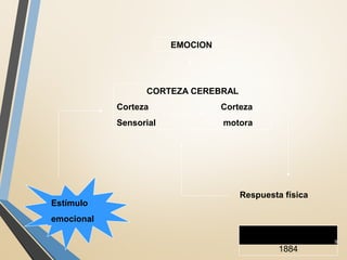 EMOCION
CORTEZA CEREBRAL
Corteza
Sensorial
Corteza
motora
Estímulo
emocional
Respuesta física
Modelo de James
9
1884
 
