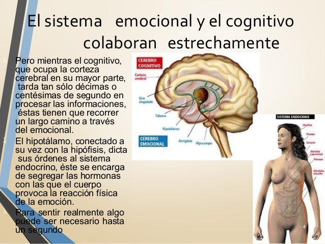 Emociones, sentimientos pasiones