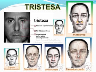 Guido Enrique Ceballos Huertas
Psicólogo y Licenciado en Informática
 