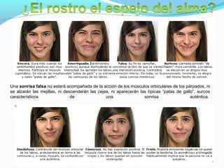 Guido Enrique Ceballos Huertas
Psicólogo y Licenciado en Informática
Una sonrisa falsa no estará acompañada de la acción de los músculos orbiculares de los párpados, ni
se alzarán las mejillas, ni descenderán las cejas, ni aparecerán las típicas “patas de gallo”, surcos
característicos de una sonrisa auténtica.
 