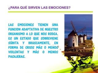 ¿PARA QUÉ SIRVEN LAS EMOCIONES?




LAS EMOCIONES TIENEN UNA
FUNCION ADAPTATIVA DE NUESTRO
ORGANISMO A LO QUE NOS RODEA.
ES UN ESTADO QUE SOBREVIENE
SÚBITA Y BRUSCAMENTE, EN
FORMA DE CRISIS MÁS O MENOS
VIOLENTAS Y MÁS O MENOS
PASAJERAS.
 