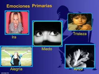 Ira
Emociones Primarias
Tristeza
Miedo
Alegría Amor
 