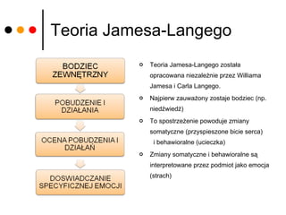 Teoria Jamesa-Langego Teoria Jamesa-Langego została opracowana niezależnie przez Williama Jamesa i Carla Langego. Najpierw zauważony zostaje bodziec (np. niedźwiedź) To spostrzeżenie powoduje zmiany somatyczne (przyspieszone bicie serca)  i behawioralne (ucieczka) Zmiany somatyczne i behawioralne są interpretowane przez podmiot jako emocja (strach) 