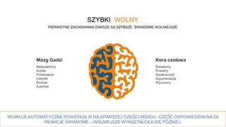 21
SZYBKI WOLNY
PIERWOTNE ZACHOWANIA ZAWSZE SĄ SZYBSZE, ŚWIADOME WOLNIEJSZE
Mózg Gadzi
Nieświadomy
Szybki
Przetrwanie
Instynkt
Emocje
Automat
Kora czołowa
Świadomy
Powolny
Społeczność
Argumentacja
Wyuczony
REAKCJE AUTOMATYCZNE POWSTAJĄ W NAJSTARSZEJ CZĘŚCI MÓZGU. CZĘŚĆ ODPOWIEDZIALNA ZA
REAKCJE ŚWIADOME – WOLNIEJSZE WYKSZTAŁCIŁA SIĘ PÓŹNIEJ.
 