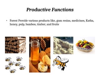 Productive Functions
• Forest Provide various products like, gum resins, medicines, Katha,
honey, pulp, bamboo, timber, and fruits
 
