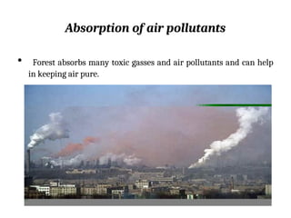 Absorption of air pollutants
• Forest absorbs many toxic gasses and air pollutants and can help
in keeping air pure.
 
