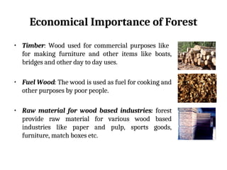 Economical Importance of Forest
• Timber: Wood used for commercial purposes like
for making furniture and other items like boats,
bridges and other day to day uses.
• Fuel Wood: The wood is used as fuel for cooking and
other purposes by poor people.
• Raw material for wood based industries: forest
provide raw material for various wood based
industries like paper and pulp, sports goods,
furniture, match boxes etc.
 