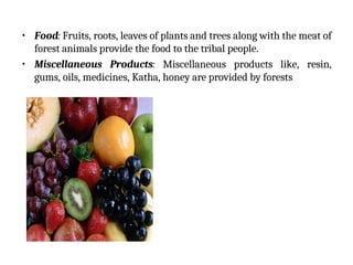 • Food: Fruits, roots, leaves of plants and trees along with the meat of
forest animals provide the food to the tribal people.
• Miscellaneous Products: Miscellaneous products like, resin,
gums, oils, medicines, Katha, honey are provided by forests
 
