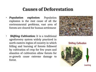 Causes of Deforestation
• Population explosion: Population
explosion is the root cause of all the
environmental problems, vast area of
forests are cleared for human settlement
• Shifting Cultivation: It is a traditional
agroforestry system widely practiced in
north eastern region of country in which
felling and burning of forests followed
by cultivation of crop for few years and
abandon of cultivation allow forests for
re-growth cause extreme damage to
forest.
 