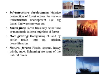 • Infrastructure development: Massive
destruction of forest occurs for various
infrastructure development like, big
dams, highways projects etc.
• Forest fires: Forest fires may be natural
or man made cause a huge loss of forest
• Over grazing: Overgrazing of land by
cattle result into soil erosion,
desertification.
• Natural forces: Floods, storms, heavy
winds, snow, lightening are some of the
natural forces
 