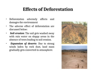 Effects of Deforestation
• Deforestation adversely affects and
damages the environment
• The adverse effect of deforestation are
discussed below:
• Soil erosion: The soil gets washed away
with rain water on sloppy areas in the
absence of trees leading to soil erosion.
• Expansion of deserts: Due to strong
winds laden by rock dust, land mass
gradually gets converted in atmosphere.
 