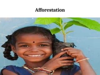 Afforestation
 