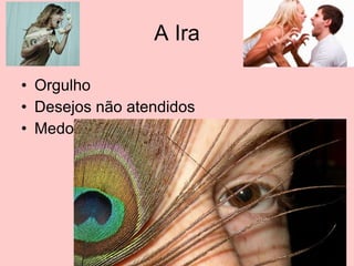 A Ira Orgulho Desejos não atendidos Medo 