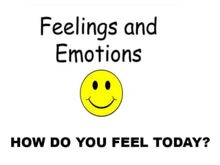 Feelings and Emotions