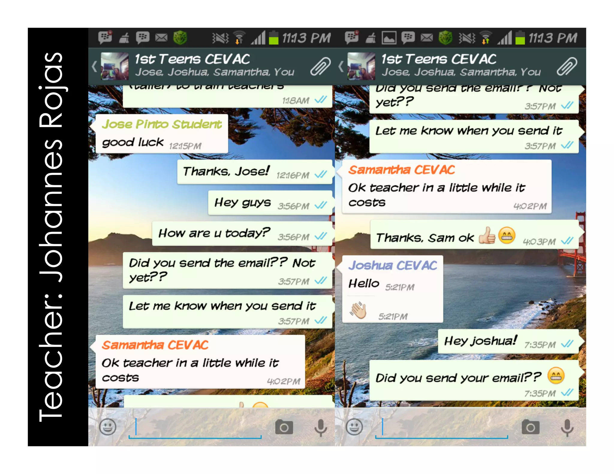 Teacher:JohannesRojas
 