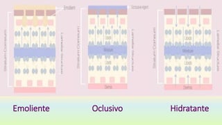 Emolientes Humectantes Y Oclusivos PPTX emolientes-humectantes-y-oclusivos-pptx