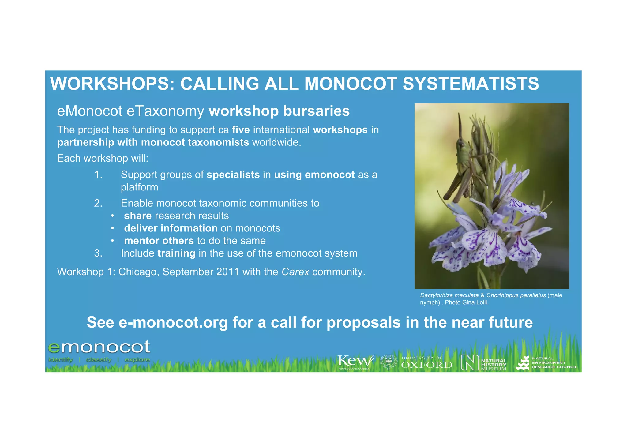 WORKSHOPS: CALLING ALL MONOCOT SYSTEMATISTS
eMonocot eTaxonomy workshop bursaries
The project has funding to support ca five international workshops in
partnership with monocot taxonomists worldwide.
Each workshop will:
       1.    Support groups of specialists in using emonocot as a
             platform
       2.   Enable monocot taxonomic communities to
          • share research results
          • deliver information on monocots
          • mentor others to do the same
       3.   Include training in the use of the emonocot system
                                                                                        Iris reticulata. Photo
Workshop 1: Chicago, September 2011 with the Carex community.                           M. Zarrei

                                                                        Dactylorhiza maculata & Chorthippus parallelus (male
                                                                        nymph) . Photo Gina Lolli.


      See e-monocot.org for a call for proposals in the near future
 