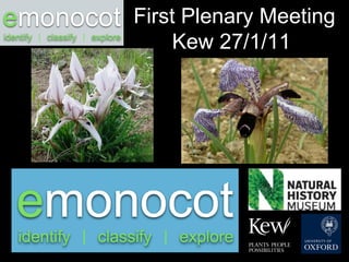 First Plenary Meeting Kew 27/1/11  