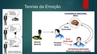 Teorias da Emoção
 