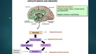Fisiologia
 Processo fisiológico complexo que é regulado por estruturas anatômicas
conjuntas: o hipocampo, as amigdalas, o hipotálamo, o tálamo e o giro
circulado.
 
