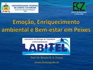 Prof. Dr. Renato H. A. Freitas 
renato.freitas@ufsc.br 
DEPTO DE ECOLOGIA 
E ZOOLOGIA 
 