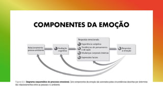 COMPONENTES DA EMOÇÃO
 