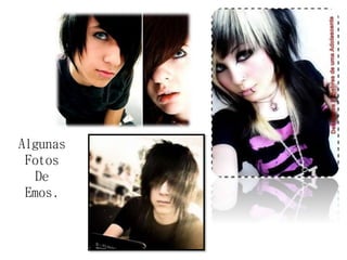 Algunas 
Fotos 
De 
Emos. 
