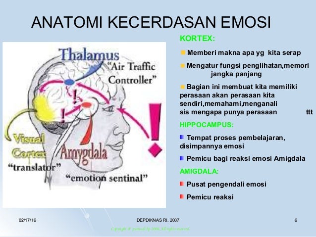 Emosi dan kecerdasan emosi