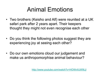 Animal Emotions
• Two brothers (Keisho and Alf) were reunited at a UK
safari park after 2 years apart. Their keepers
thought they might not even recognise each other
• Do you think the following photos suggest they are
experiencing joy at seeing each other?
• Do our own emotions cloud our judgement and
make us anthropomorphise animal behaviour?
http://www.youtube.com/watch?v=HOWnXJW9LjI
 