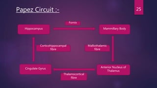 25Papez Circuit :-
Hippocampus Mammillary Body
Cingulate Gyrus Anterior Nucleus of
Thalamus
Fornix
Thalamocortical
fibre
Malliothalamic
fibre
Corticohippocampal
fibre
 