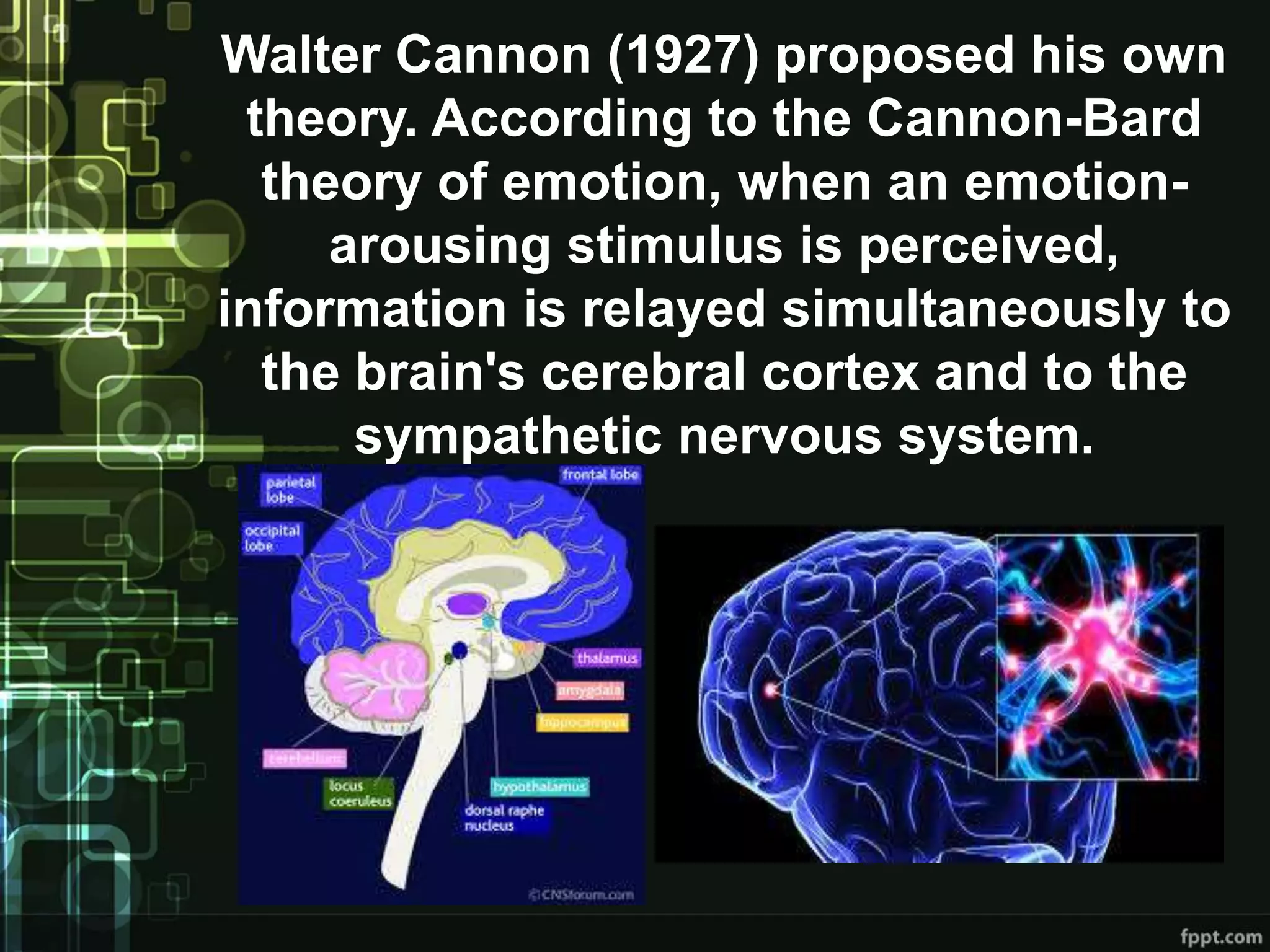 Walter Cannon (1927) proposed his own
theory. According to the Cannon-Bard
theory of emotion, when an emotion-
arousing stimulus is perceived,
information is relayed simultaneously to
the brain's cerebral cortex and to the
sympathetic nervous system.
 