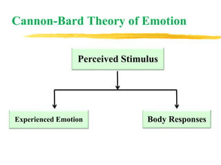 Cannon-Bard Theory of Emotion
Perceived Stimulus
Experienced Emotion Body Responses
 