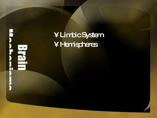 Brain Mechanisms Limbic System Hemispheres 