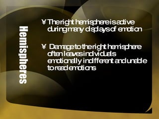 Hemispheres The right hemisphere is active during many displays of emotion Damage to the right hemisphere often leaves individuals emotionally indifferent and unable to read emotions 