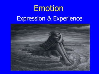 Emotion Expression & Experience 