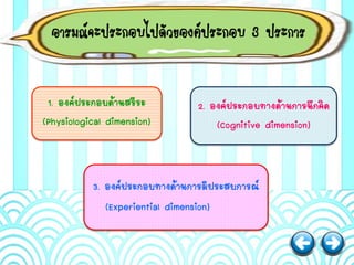 อารมณ์จะประกอบไปด้วยองค์ประกอบ 3 ประการ
1. องค์ประกอบด้านสรีระ
(Physiological dimension)
3. องค์ประกอบทางด้านการมีประสบการณ์
(Experiential dimension)
2. องค์ประกอบทางด้านการนึกคิด
(Cognitive dimension)
 