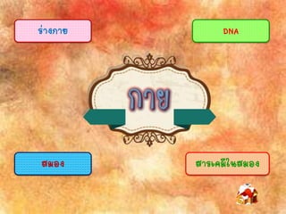 ร่างกาย
สมอง
DNA
สารเคมีในสมอง
 