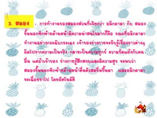 3. สมอง : การทางานของสมองส่วนที่เรียกว่า อมิกดาลา กับ สมอง
ชั้นนอกซีกซ้ายด้านหน้ามีความน่าสนใจมากก็คือ ขณะที่อมิกดาลา
ทางานอย่างกระฉับกระเฉง เจ้าของร่างกายจะรับรู้เรื่องราวต่างๆ
ผิดไปจากความเป็นจริง กลายเป็นความทุกข์ ความขัดแย้งกับคน
อื่น แต่ถ้าเจ้าของ ร่างกายรู้สึกสงบและมีความสุข จะพบว่า
สมองชั้นนอกซีกซ้ายด้านหน้าตื่นตัวสดชื่นขึ้นมา และอมิกดาลา
จะเฉื่อยชาไป โดยอัตโนมัติ
 