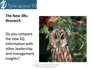The New 3Rs:  Research Do you compare the new EQ information with other leadership and management insights?  Copyright  ©  Galba Bright & Associates 2007 www.tuneupyoureq.com  