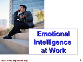 Emotional Intelligence  at Work 