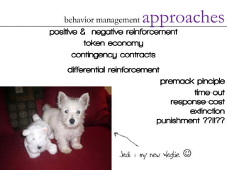 behavior management  approaches
positive & negative reinforcement
          token economy
       contingency contracts
    differential reinforcement
                              premack pinciple
                                       time-out
                                 response-cost
                                      extinction
                             punishment ??!!??


                                    
 