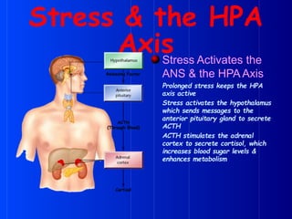 Stress & the HPA
Axis
Stress Activates the
ANS & the HPA Axis
Prolonged stress keeps the HPA
axis active
Stress activates the hypothalamus
which sends messages to the
anterior pituitary gland to secrete
ACTH
ACTH stimulates the adrenal
cortex to secrete cortisol, which
increases blood sugar levels &
enhances metabolism
 