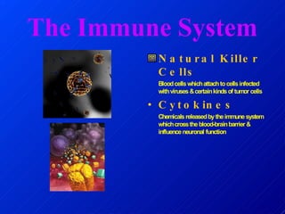 The Immune System
N a t u r a l K ille r
C e lls
Bloodcellswhichattachtocellsinfected
withviruses &certainkindsof tumor cells
• C y t o k in e s
Chemicalsreleasedbytheimmunesystem
whichcrosstheblood-brainbarrier &
influenceneuronal function
 